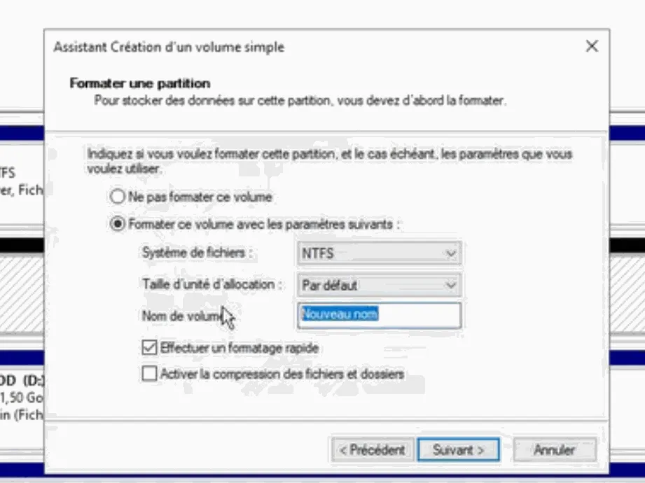 Formatting the partition in NTFS with quick formatting