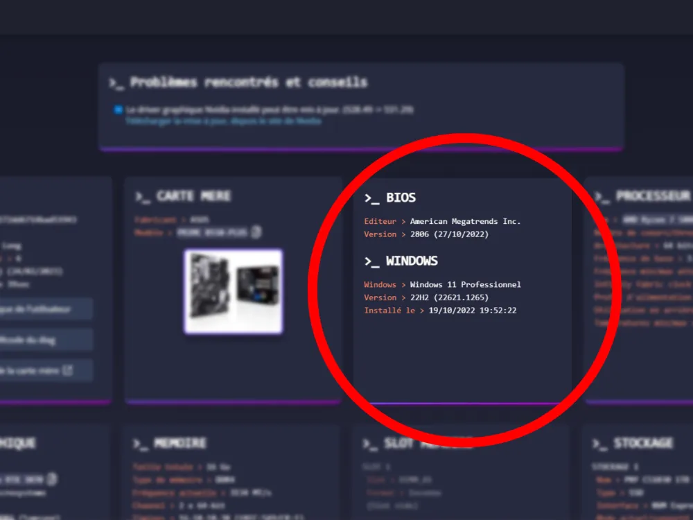Rapport UserDiag montrant la version du BIOS