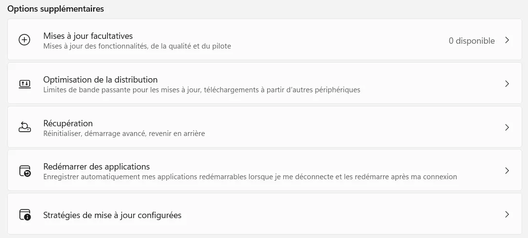 Windows Update: pagina met optionele updates met de voorgestelde drivers