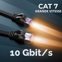  Folishine - Câble Ethernet Cat 7 plat noir 10 m