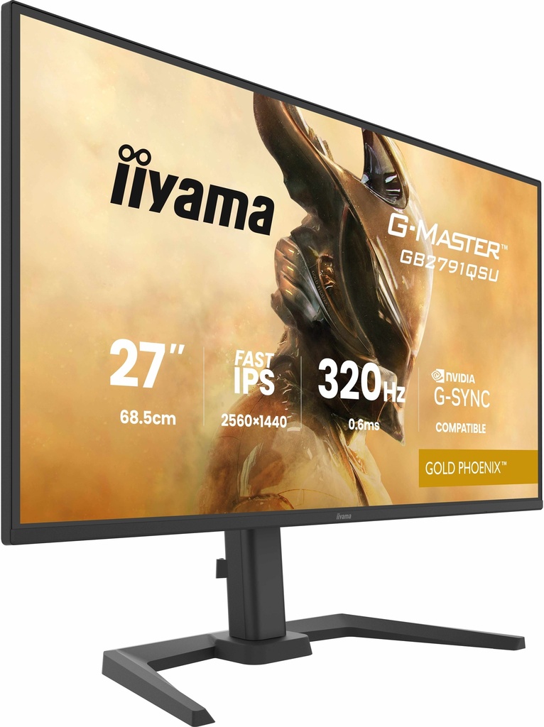 IIyama G-Master Gold Phoenix 27" / 320Hz / QHD / Fast IPS / Plat - Écran PC