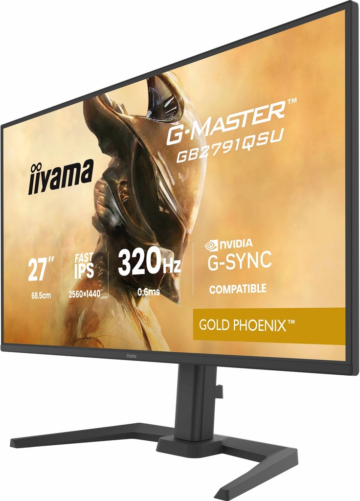 IIyama G-Master Gold Phoenix 27" / 320Hz / QHD / Fast IPS / Plat - Écran PC