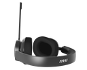 MSI MAESTRO 300