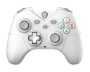 MSI FORCE GC300W - White