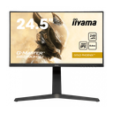 iiYama 24" /240hz /1080p /fast IPS (GB2590HSU)